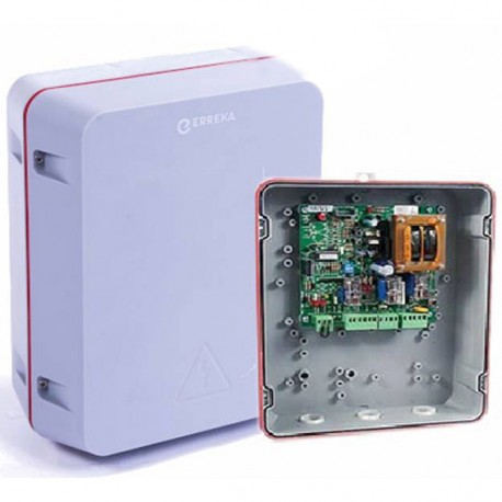 CUADRO DE CONTROL ERREKA EPEB