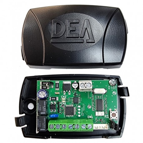 RECEPTOR DEA 281 433